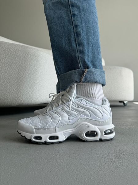 Nike Air Max TN Plus White/Grey nik-0469-800930 фото