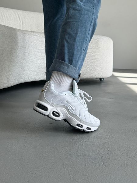Nike Air Max TN Plus White/Grey nik-0469-800930 фото