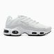 Nike Air Max TN Plus White/Grey nik-0469-800930 фото 1