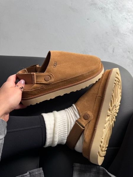 Ugg Goldenstar Clog Chestnut/Beige ugg-0110-1301432 фото