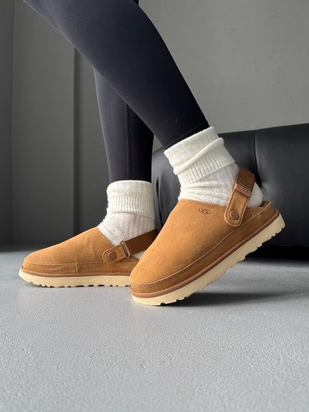 Ugg Goldenstar Clog Chestnut/Beige ugg-0110-1301432 фото