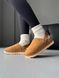 Ugg Goldenstar Clog Chestnut/Beige ugg-0110-1301432 фото 6