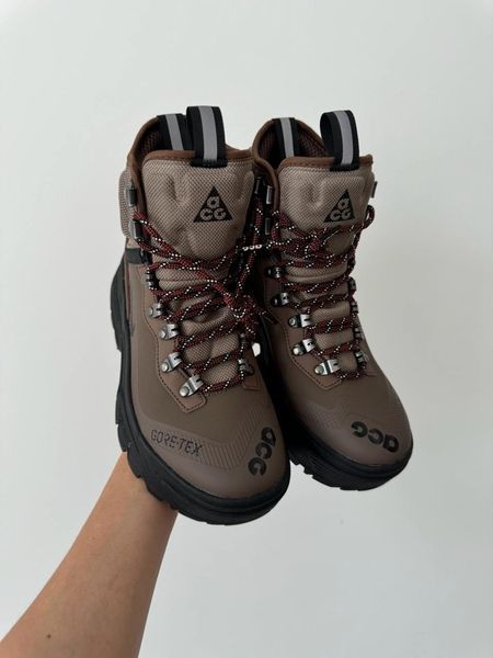 Nike ACG Air Zoom Gaiadome GTX Brown nik-0474-822214 фото