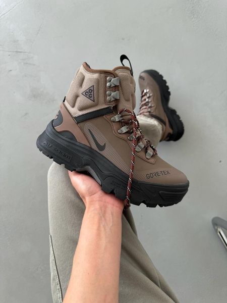 Nike ACG Air Zoom Gaiadome GTX Brown nik-0474-822214 фото
