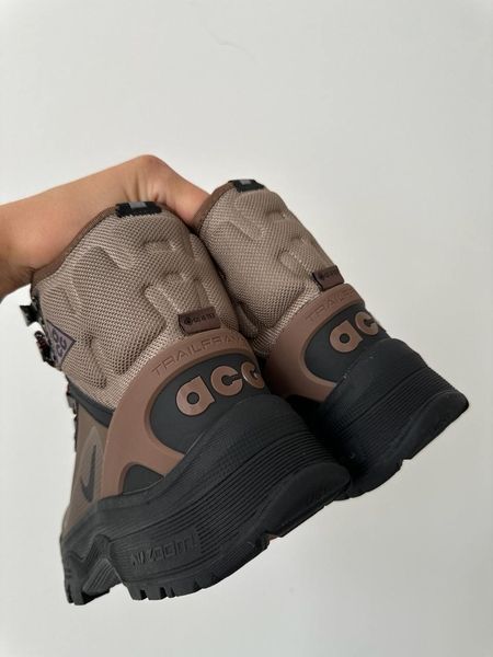 Nike ACG Air Zoom Gaiadome GTX Brown nik-0474-822214 фото