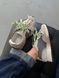 New Balance 327 Grey Extreme Laces nbl-0476-1454857 фото 15