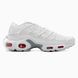 Nike Air Max TN Plus White nik-0461-769319 фото 1
