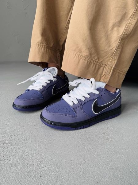 Nike SB Dunk Purple nik-0418-513039 фото