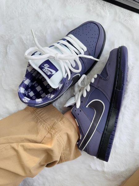 Nike SB Dunk Purple nik-0418-513039 фото