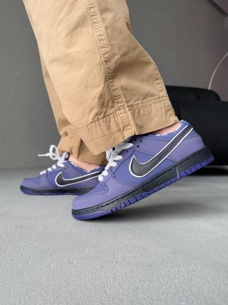 Nike SB Dunk Purple nik-0418-513039 фото
