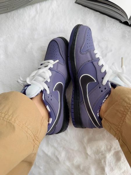 Nike SB Dunk Purple nik-0418-513039 фото