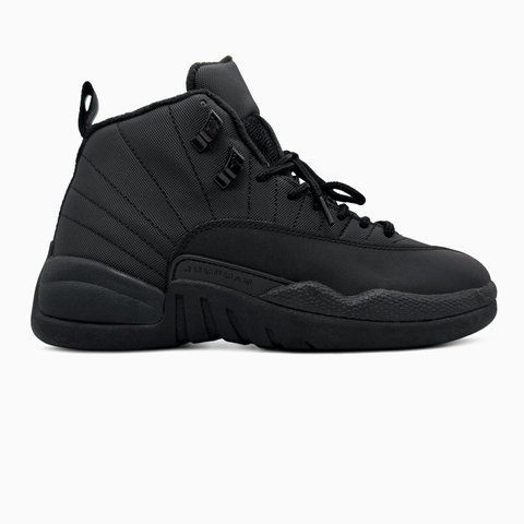 Nike Air Jordan 12 Black nik-0766-1482883 фото