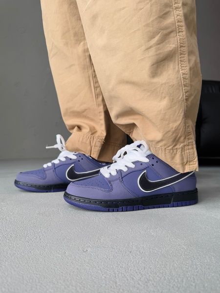 Nike SB Dunk Purple nik-0418-513039 фото